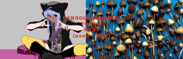 амф Алзамай