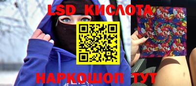 СК Кингисепп