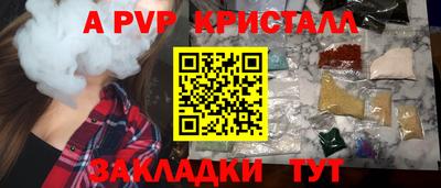 СК Кингисепп