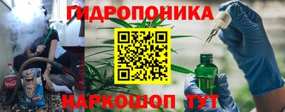 СК Кингисепп