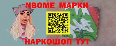 СК Кингисепп