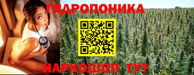 СК Кингисепп