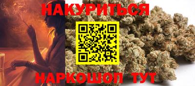 СК Кингисепп