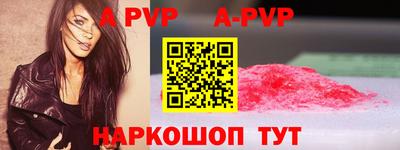 СК Кингисепп