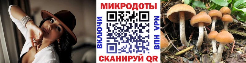 сайты даркнета формула  Конаково  Псилоцибиновые грибы Cubensis  цена  
