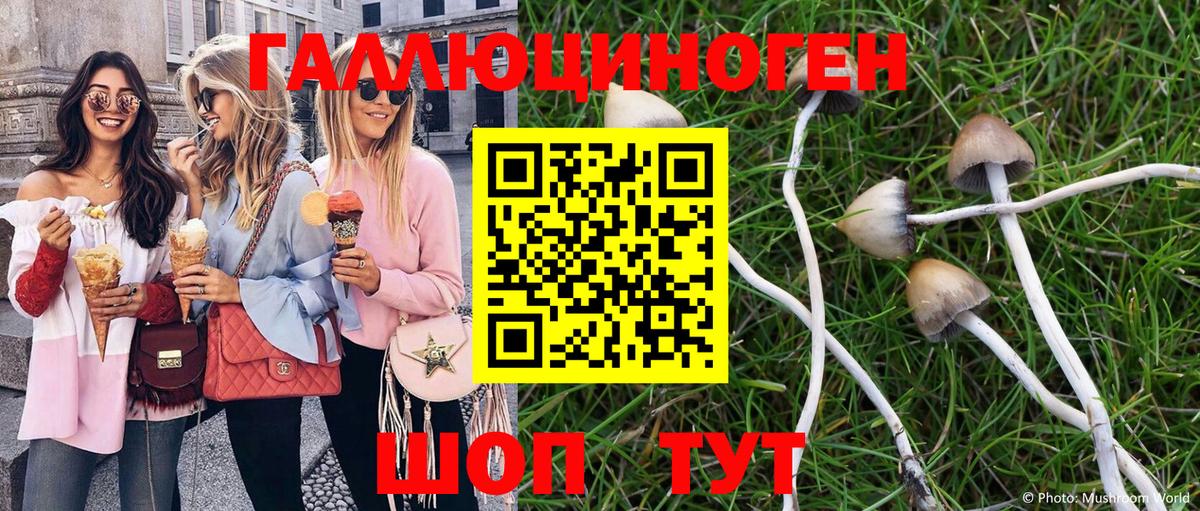 Конаково  Галлюциногенные грибы мухоморы  Вход с VPN 